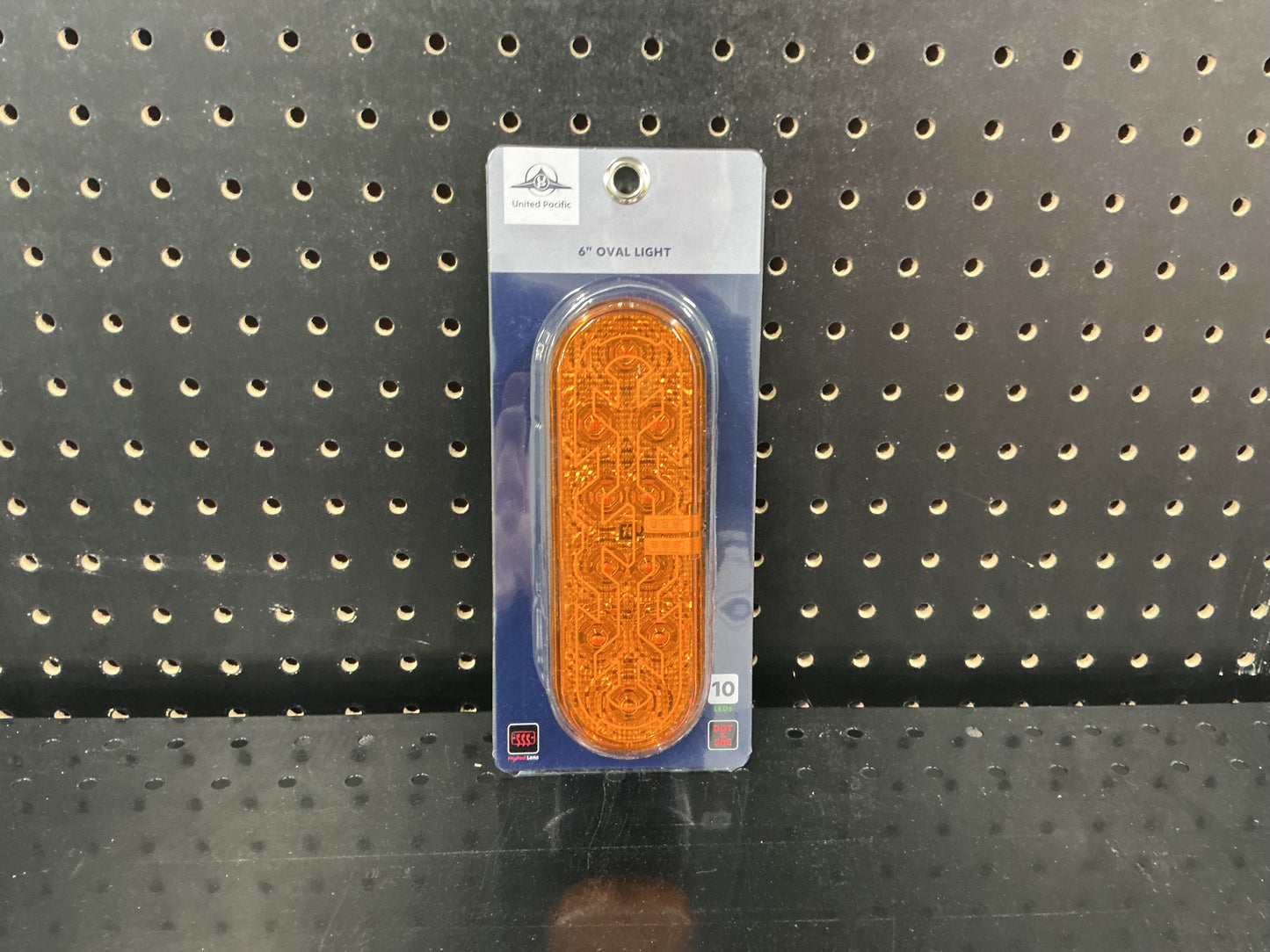 10 LED 6 Inch Oval
